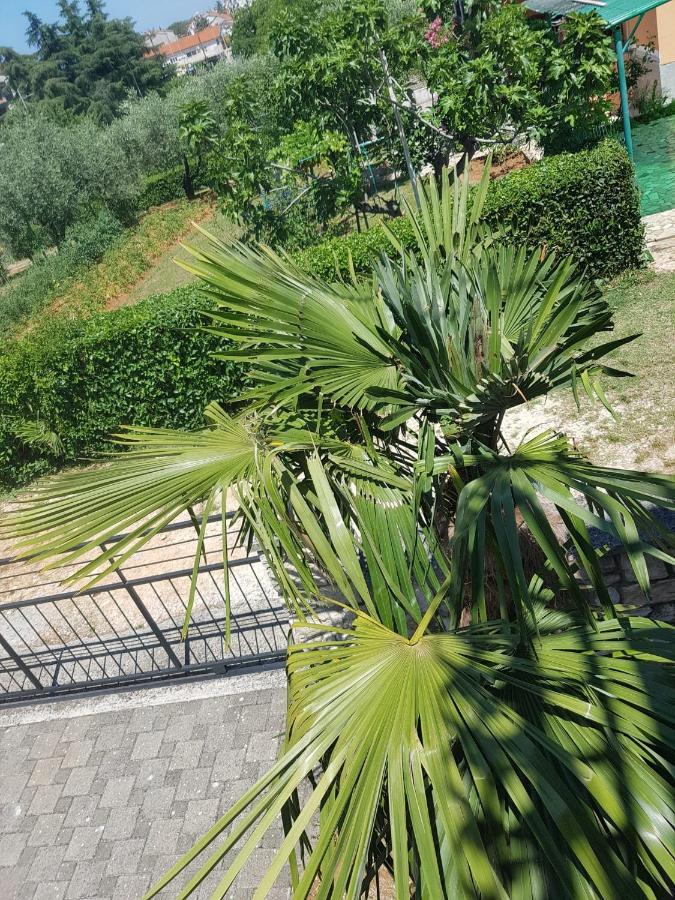 Apartment Mit Balkon Poreč Dış mekan fotoğraf